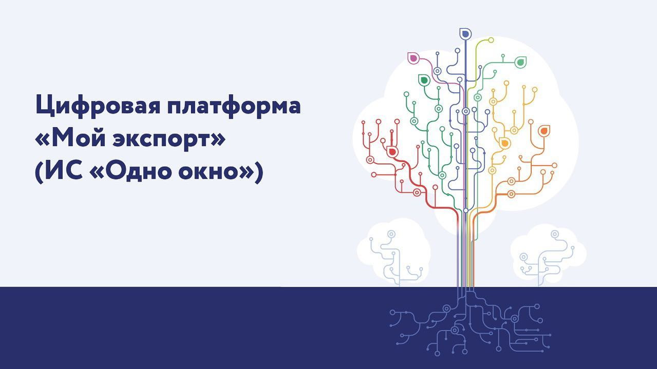 Качественная аналитика и опыт профессионалов: как изучить зарубежные рынки с помощью услуг, доступных на платформе «Мой экспорт»