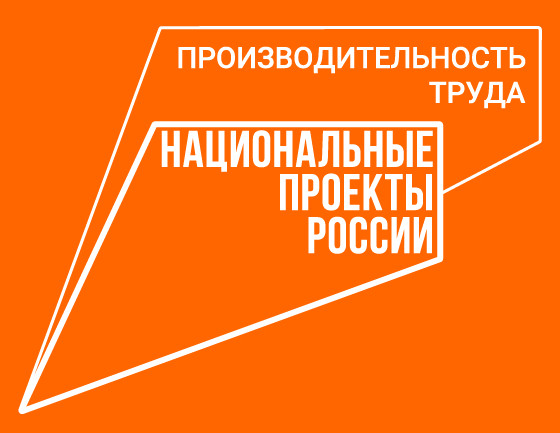Крупные аптечные сети Дагестана заинтересовались участием в нацпроекте «Производительность труда»