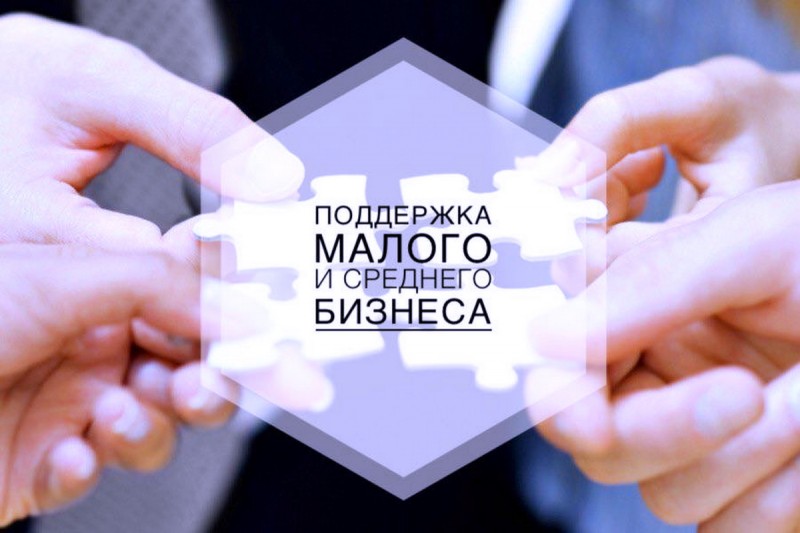 Правительство выделило более 1,1 млрд рублей на поддержку малого и среднего бизнеса в Северо-Кавказском федеральном округе