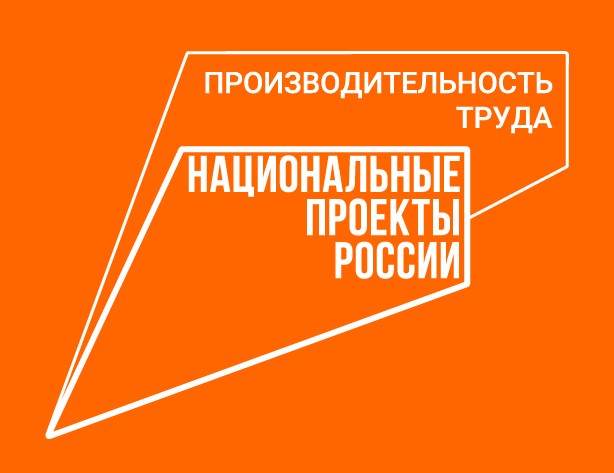 Руслан Алиев доложил Правительству о ходе реализации в Дагестане нацпроекта «Производительность труда»