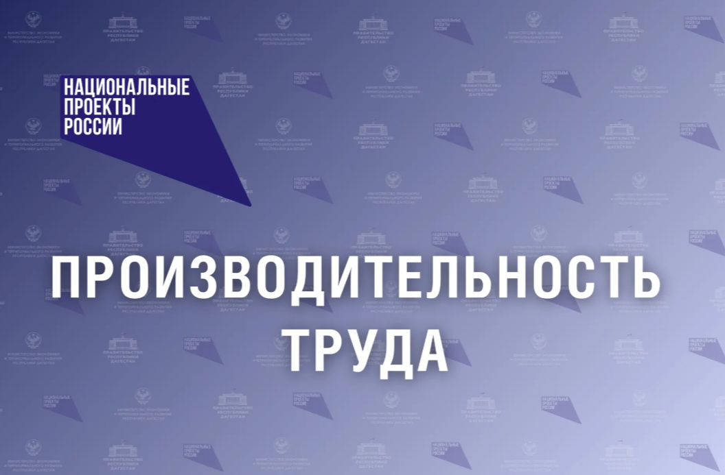 Дагестанский мясокомбинат присоединился к федеральному проекту «Производительность труда»