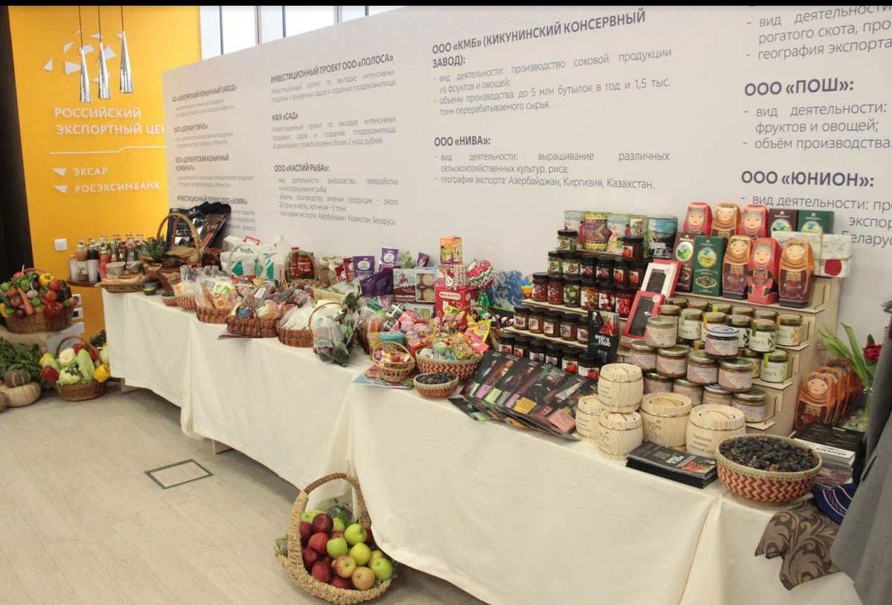 В Российском экспортном центре прошёл День Республики Дагестан