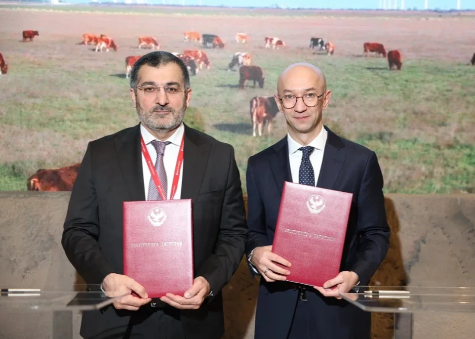 Республика Дагестан и МСП Банк подписали соглашение о сотрудничестве